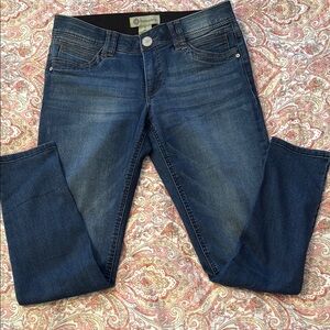 Democracy Blue Skinny Jeans with Stretch